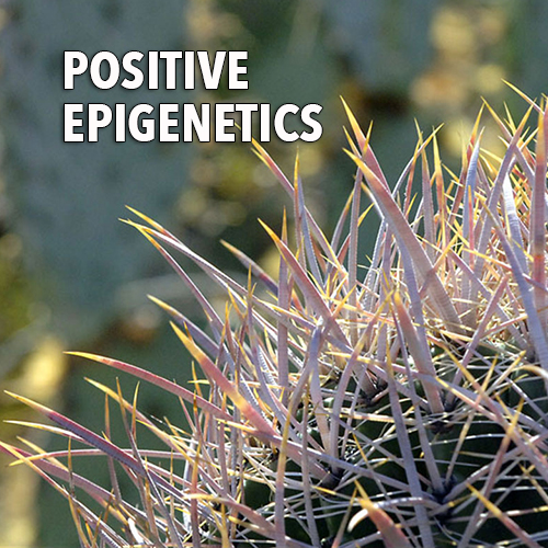 Positive Epigenetics - Maximum STrength Positive Thinking
