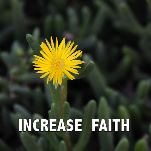 Increase Faith - Real Power Maxing Out On God's Love