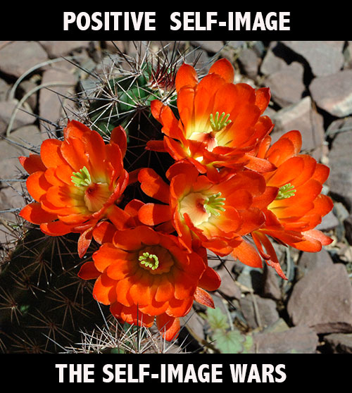 Positive Self Image - David J. Abbott M.D.